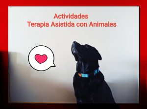 actividades terapia asistida con animales